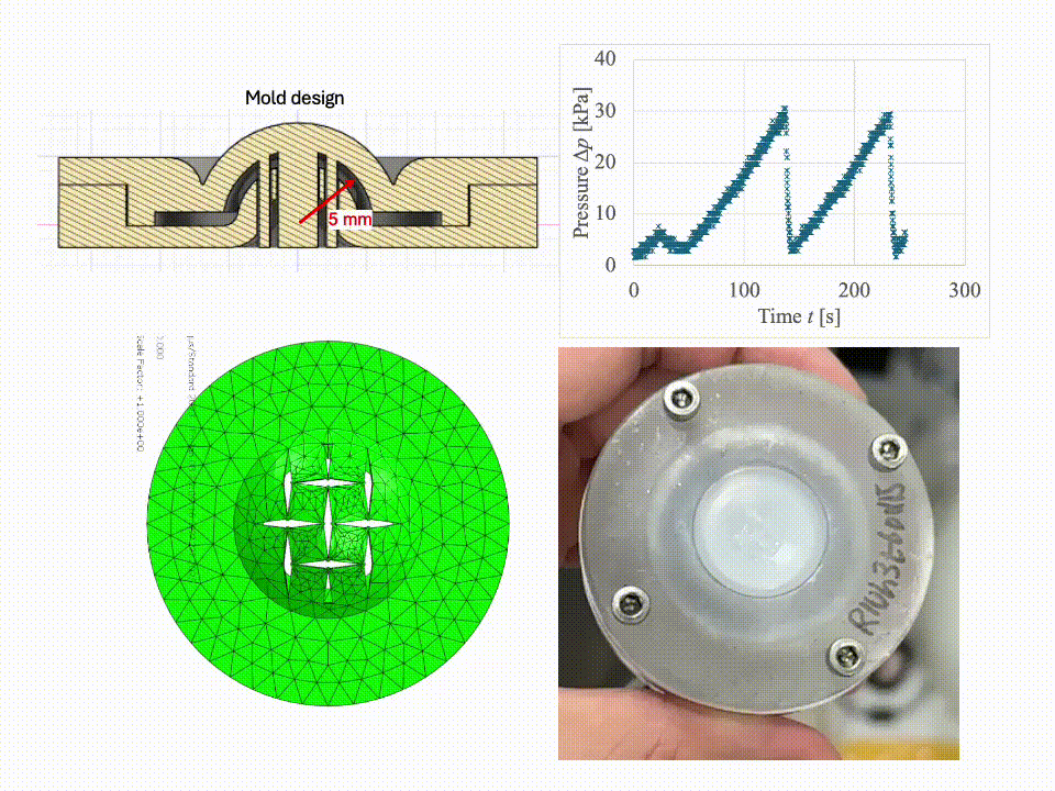 Kirigami shell @SNU (2025)